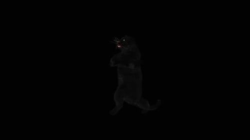 Animated Black Panther Standing Up