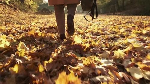 Young Woman in Casually Dressed and Holding a Backpack in Her Hand Walking in the Autumn Park and