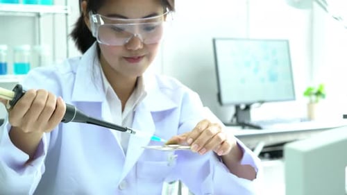 Mulher trabalhando no laboratório