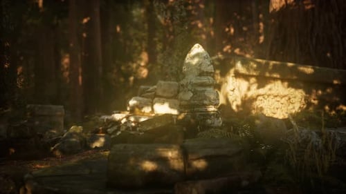 Hoary Ruins of Ancient City in Pine Forest