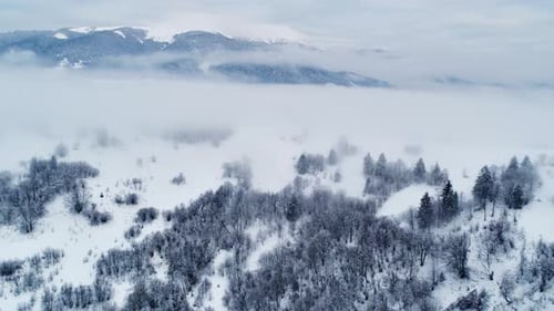 Aerial View in Foggy Sunset Winter Mountain