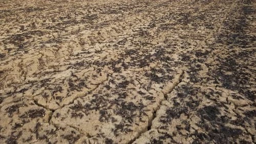 Drought in the Wheat Fields