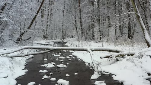 Fliegen im mit Neuschnee bedeckten Winterwald über einem kleinen Waldfluss.
