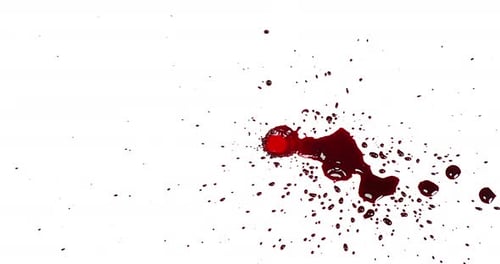 Blood Dripping against White Background, Slow Motion 4K