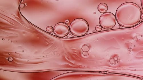 Abstract Colorful Food Oil Drops Bubbles 139