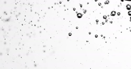 Bubbles Rising In Water Against White Background