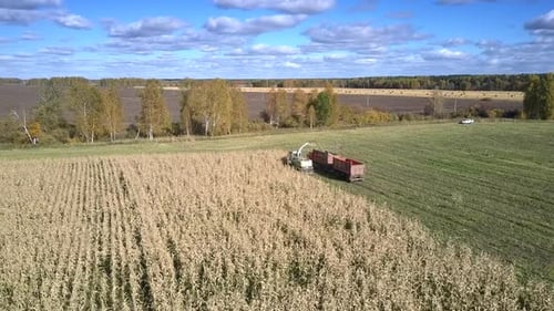 Aerial View Corn Harvester and Truck Drive To Field