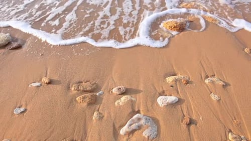 Morgen Breaking Wave an einem Sandstrand