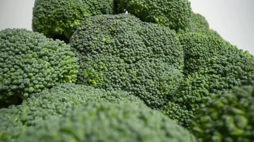 Fresh Green Broccoli 33