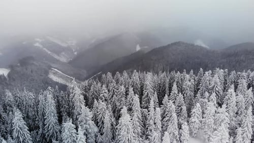 Luftflug über Winterwald im Bergtal