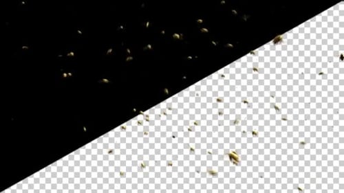 Golden Swarm of Flying Bees Animated Overlay