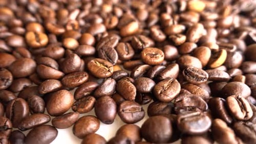 Pile of Dark and Light Roasted Coffee Beans