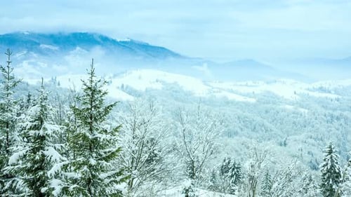 Beautiful Winter Landscape