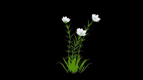 Weiße Cartoon-Blumen wachsen