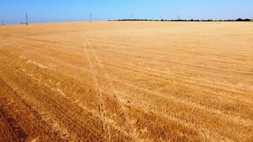 Drohnenaufnahme eines Fluges über die ländliche Agrarlandschaft.