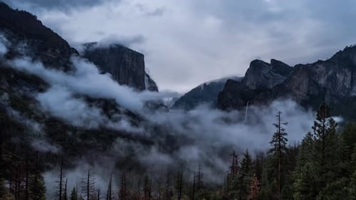 Yosemite Park