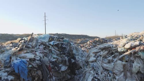 Dump of Household Waste. Environmental Disaster