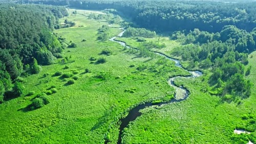 Small winding river and green forests at sunrise