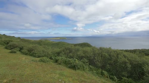 Panoramic view from a green coastline