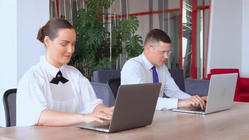Team Work in Modern Office