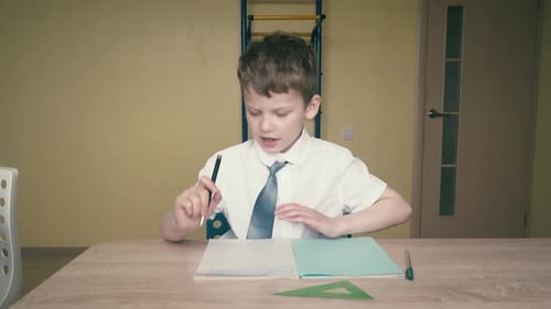 Boy Doing Homework at Desk in Daytime
