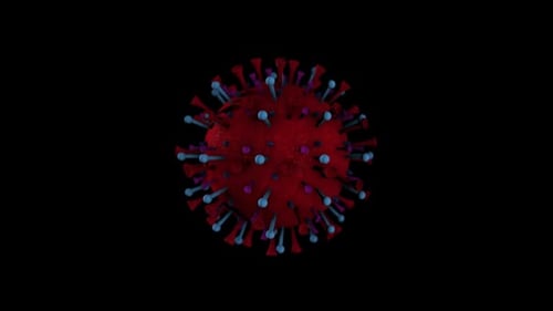 3D Rotating Virus Cell Animation