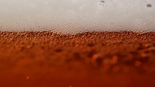 Cerveza fría y fresca 42