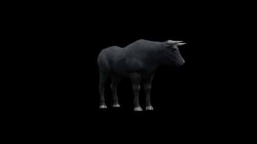 Animated 3D Black Bull Standing and Moving Head