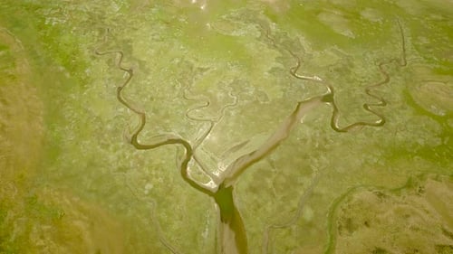 Abstract aerial view of wetlands landscape in the Netherlands.
