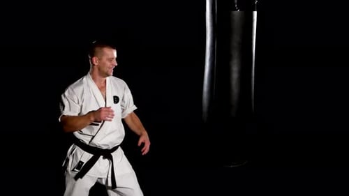 Man Training Karate, Punching and Kicking Heavy Bag