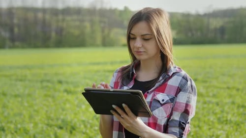 Closeup Modern Farmer Using Digital Tablet on Wheat Field