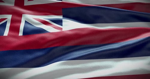 Realistic Seamless Loop Waving Flag of Hawaii