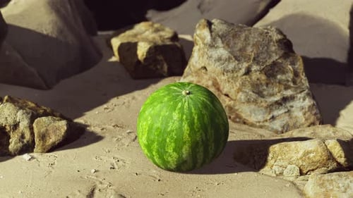 Fresh Watermelon on a Beautiful Sand Beach