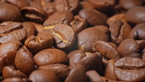 Roasted Coffee Beans Macro Shot