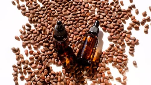 Pine nuts oil.Oil in glass brown bottles and pine nuts on a white background