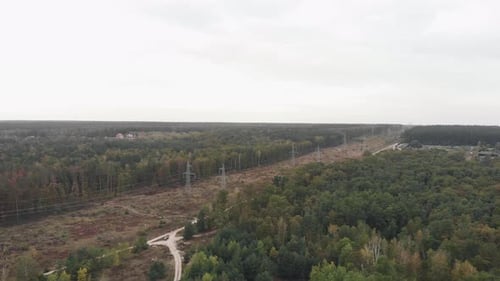 Aerial View of Forest with Electrical Towers and Lines