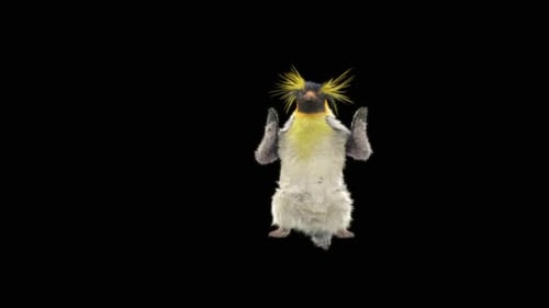 75 Pinguin tanzend HD