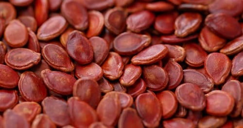 Red water melon dry seed for lunar new year