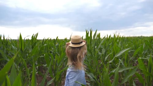 Follow To Small Girl in Straw Hat Running Through Corn Field at Overcast Day. Little Kid in Dress