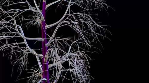 Botanisches 3D-Rendering von Birken