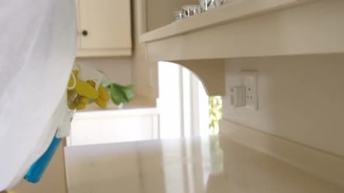 Woman cleaning the kitchen