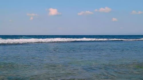Sea