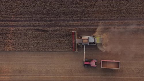 Drone Of Combine And Tractor Harvesting Crops In Field