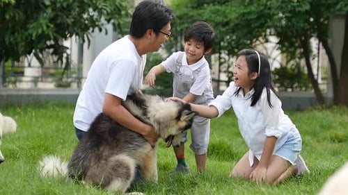 Happy Asian Family Playing With Siberian Husky Dog In The Garden