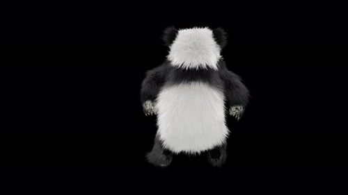 Panda Dancing 4K