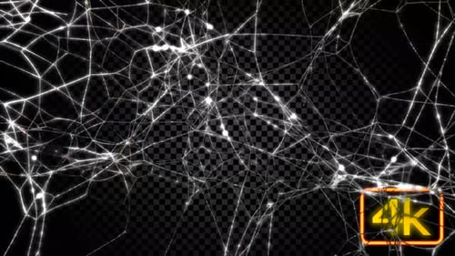 Neural Communications