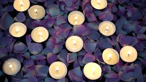 Candles Float Among Purple Rose Petals