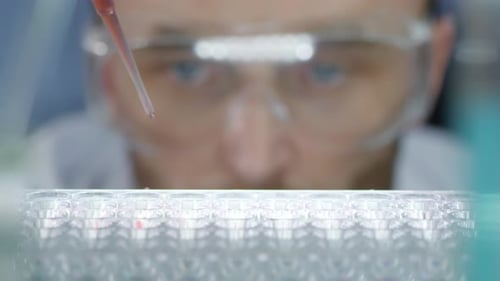 Scientist Adds Red Liquid to Test Tubes