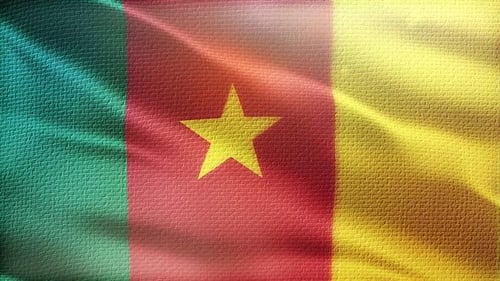 Waving Cameroon Flag Animation with Realistic Fabric Texture