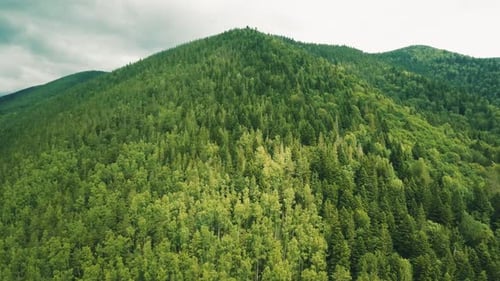 Aerial View of Mountain Range Covered in Forest
